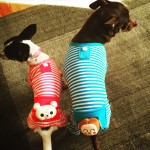 Monkey Butt Pet Pajamas